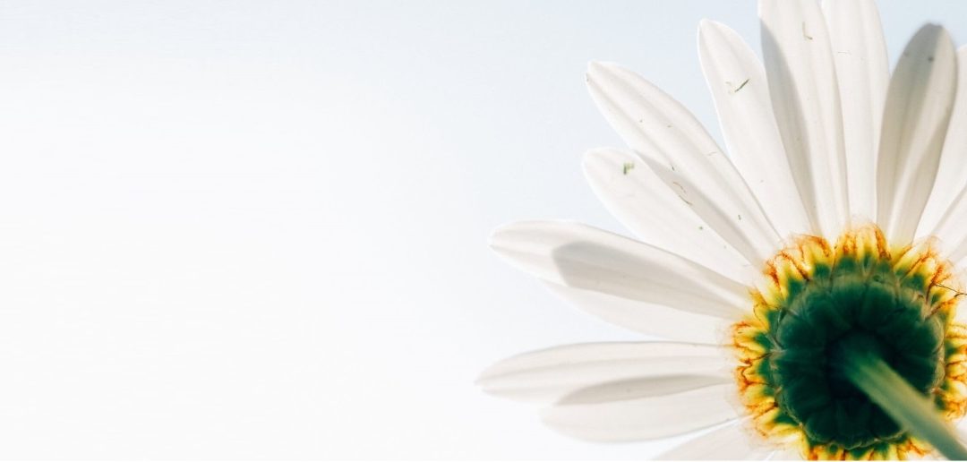 The Experience of the Therapist and Client Relationship in DBT – Part 7 of 11