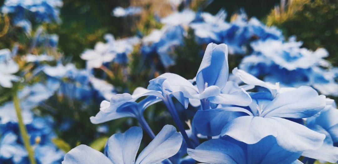 The Experience of the Process and Outcome of DBT – Part 8 of 11