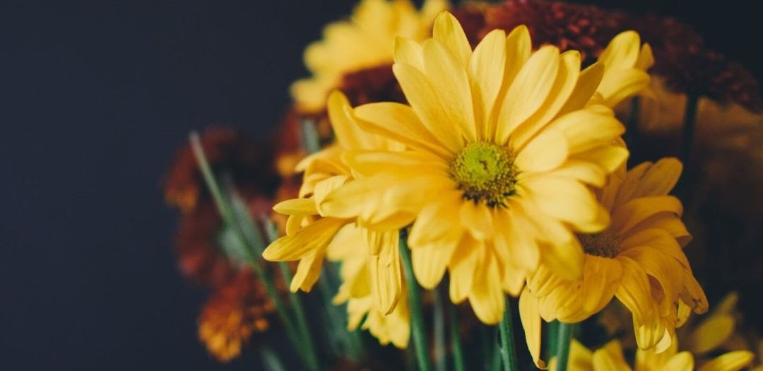 Emotional Dysregulation, BPD and Dialectical Behavior Therapy – Part 5 of 11